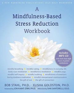 mbsrworkbook